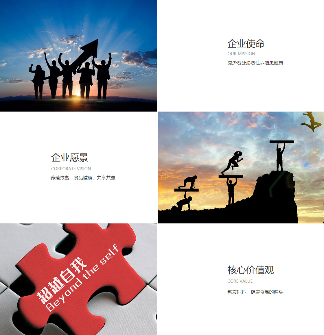 五福彩票通用版2.0下载(图1)